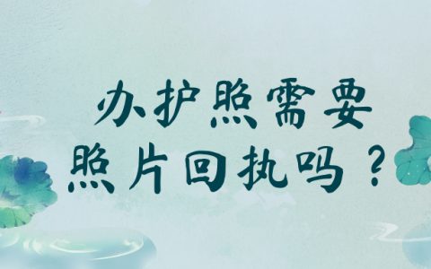 办护照需要照片回执吗？