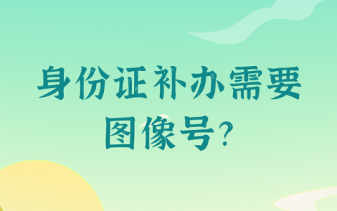 身份证补办照片图像号
