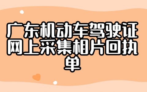 广东机动车驾驶证网上采集相片回执单