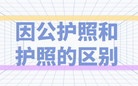 因公护照和护照的区别